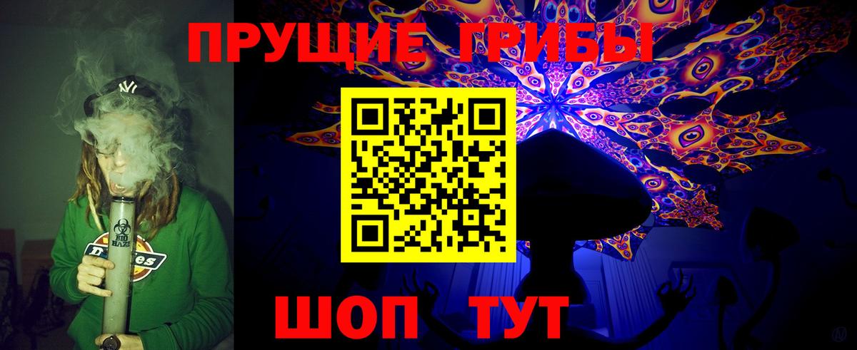 Псилоцибиновые грибы Cubensis  Волоколамск 