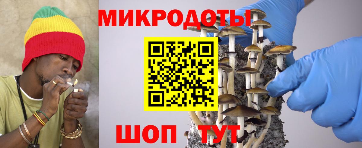 Галлюциногенные грибы MAGIC MUSHROOMS  Вход с VPN  продажа наркотиков  Волоколамск  Галлюциногенные грибы Psilocybe 